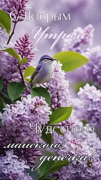IMG_3063.webp