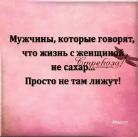 kUa5nRr_YLc.webp