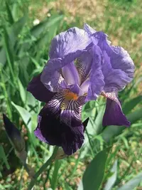 20240523124602.webp