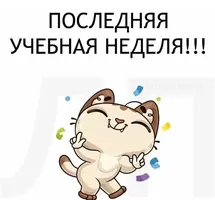 3916EF68-9C22-41DA-A113-4C87E48F5207.webp