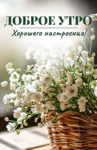 IMG_3103.webp