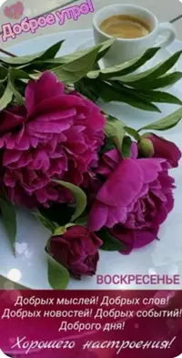FA8A1DD3-35C0-48EC-9342-1F7F3A902254.webp