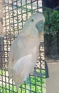 20240528120441.webp