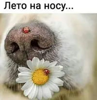 imgonline-com-ua-Resize-OxC0vA5YIhlK.webp