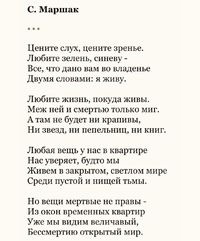 3105.webp