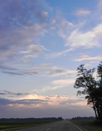 58907.webp