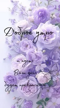 528.webp