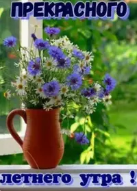 2C79D5AE-2AD3-4C33-93A1-C32D8B5A1E69.webp