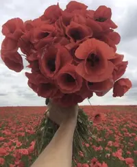 12185C12-0849-49A0-8E93-7C68438C3631.webp