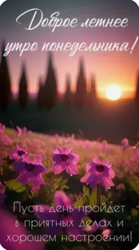 44476089-F091-43F6-BFF1-6BCFB8EA62C5.webp