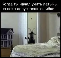 207.webp