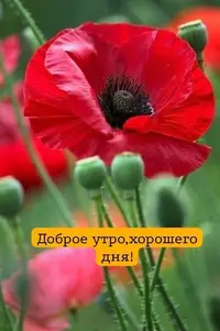 IMG_3172.webp