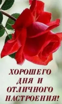 B99C8542-7643-45E8-B7F5-44D12033B39F.webp