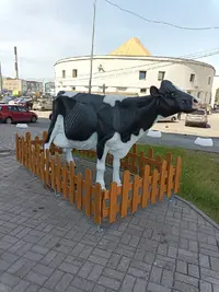 IMG_20240604_140847_091.webp