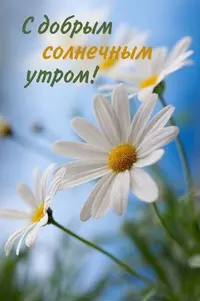 IMG_3210.webp