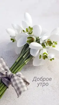 IMG_3229.webp