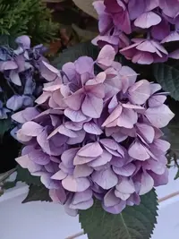 20240607212903.webp