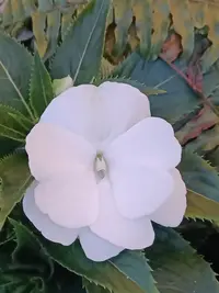 20240607212915.webp