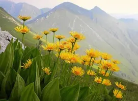 75E83CCA-FD45-4EBD-AD24-172DB2539DC2.webp