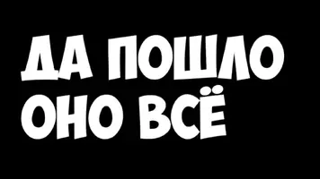 4313.webp