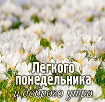 C4CAABA6-3FB0-4490-9BAC-CA29C289BDD0.webp