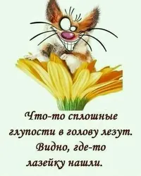 imgonline-com-ua-Resize-ZCwGNZWVIef9cT.webp