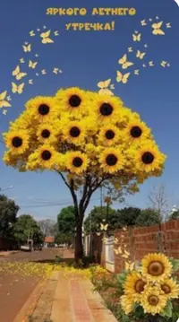 9C0E3BCA-51E8-4882-96C3-39A3727E3648.webp