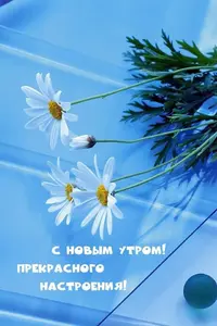 IMG_3274.webp