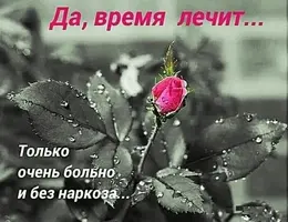 img_5bNA28T.jpg.webp