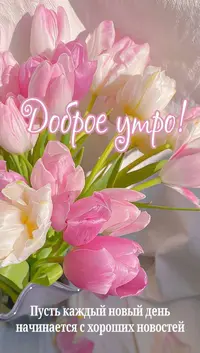 ae4afe64-8d0e-4540-97d5-730bedd88880.webp