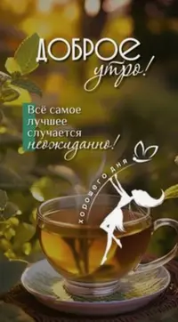 C828AF93-8C0E-460F-97C8-95638E110C4F.webp