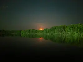 1.webp