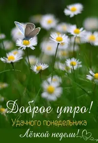 IMG_3293.webp