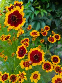 5008.webp