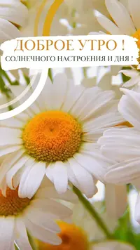 IMG_3310.webp