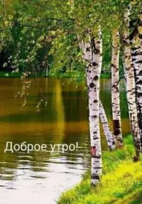 AB813B5F-9439-4DDE-9396-110A0D5ED684.webp