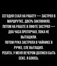 8_803.webp
