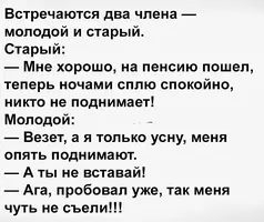 9_141623.webp