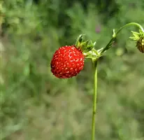 Screenshot_20240420-134236.webp