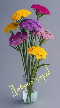 IMG_3382.webp