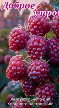 5971B794-AB3A-4368-A56C-30DF4783E3CA.webp