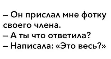 47_355.webp