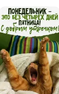 A02C139D-0C7A-405C-9F8E-40CF363F4783.webp