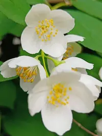 20240624165803.webp