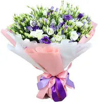 2433.webp