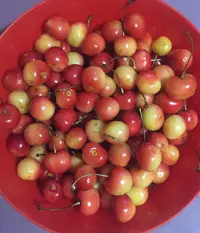 A45914B7-B01D-4A0E-8776-62F12745F8C5.webp