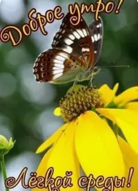 98FA81A6-BAA3-4EC6-A253-F9569D3CC1C8.webp