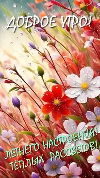 IMG_3475.webp