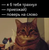 95716104.webp