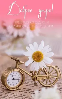 37_258.webp